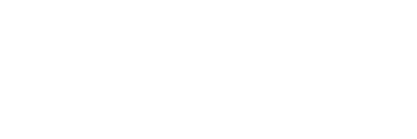 Expert Institute