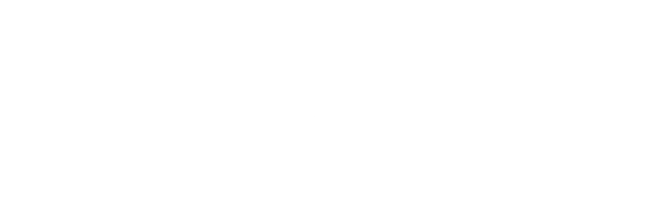 Toro